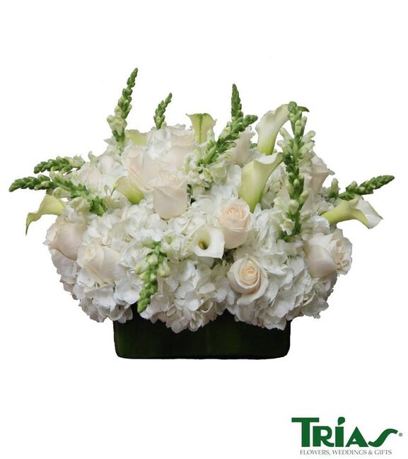 Trias Flowers Opinions Photos And Phone