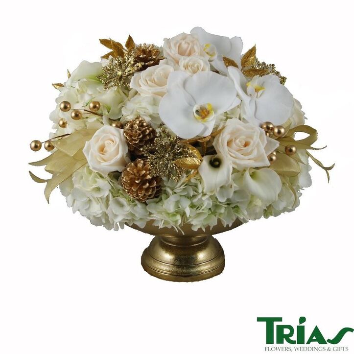 Trias Flowers Opinions Photos And Phone